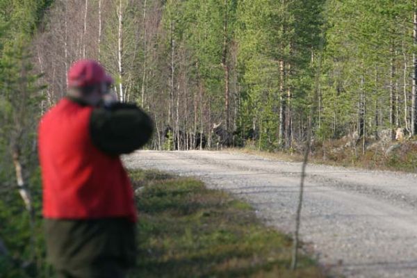 20031011_005_RJ.jpg
hirvenmetsästys hirvi metsästäjä ampuminen riistanisäkäs tie 
Avainsanat: hirvenmetsästys hirvi metsästäjä ampuminen riistanisäkäs tie