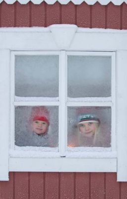 20031214_002.jpg
ikkuna lapsi tyttö kuura huurre talvi joulu 
Avainsanat: ikkuna lapsi tyttö kuura huurre talvi joulu