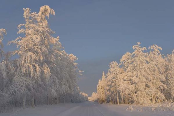 20040118_006.jpg
talvi kuura huurre tie lehtipuu lumi paljakka hyrynsalmi maisema
Avainsanat: talvi kuura huurre tie lehtipuu lumi paljakka hyrynsalmi maisema