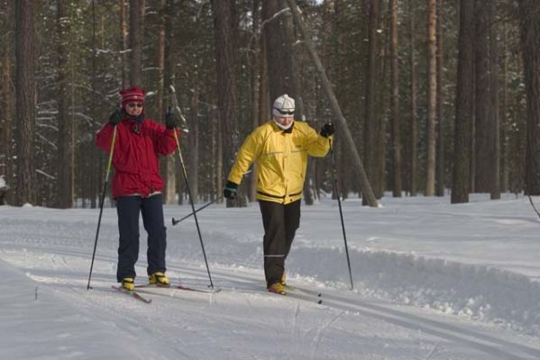 20040305_006.jpg
hiihto hiihtää loma latu nainen liikunta ulkoilu talvi retkeillä hossa suomussalmi perinteinen luistelu urheilu
Avainsanat: hiihto hiihtää loma latu nainen liikunta ulkoilu talvi retkeillä hossa suomussalmi perinteinen luistelu urheilu