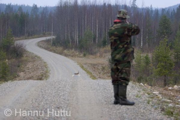 2005_10_14 005.jpg
jäniksenmetsästys metsästys tilanne ampuminen tähtäys jänis metsästäjä metsäautotie 
Avainsanat: jäniksenmetsästys metsästys tilanne ampuminen tähtäys jänis metsästäjä metsäautotie