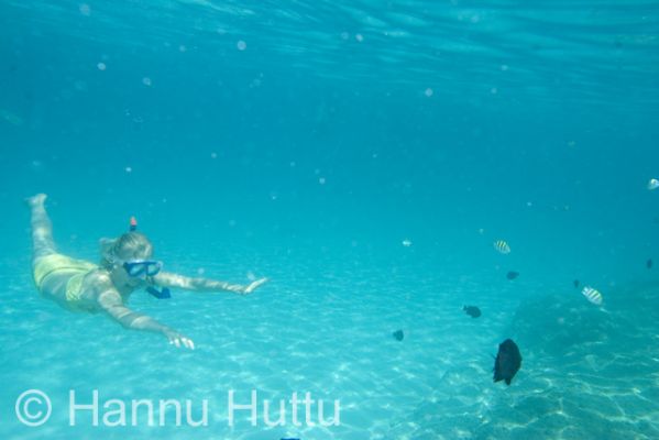 2006_11_28 041.jpg
meri phuket thaimaa sukellus snorklaus sukeltaa loma vesi snorklata sukeltaja kala
Avainsanat: meri phuket thaimaa sukellus snorklaus sukeltaa loma vesi snorklata sukeltaja kala