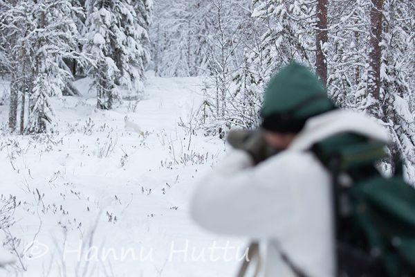 2015_12_05_018.jpg
jänismetsällä jänis tähtäimessä jäniksen metsästys metsästäjä ampuu jänisjahti talvi lumi metsästystilanne jänisajo
Avainsanat: jänismetsällä jänis tähtäimessä jäniksen metsästys metsästäjä ampuu jänisjahti talvi lumi metsästystilanne jänisajo