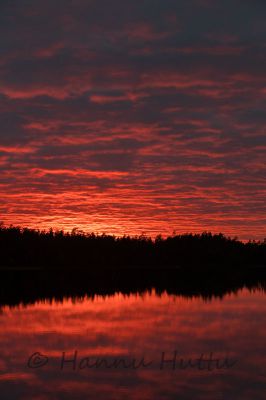 2016_09_18_379.jpg
Hossanjärvi Hossa auringonlasku nurmiselkä iltarusko järvimaisema tyyni
Avainsanat: Hossanjärvi Hossa auringonlasku nurmiselkä iltarusko järvimaisema tyyni