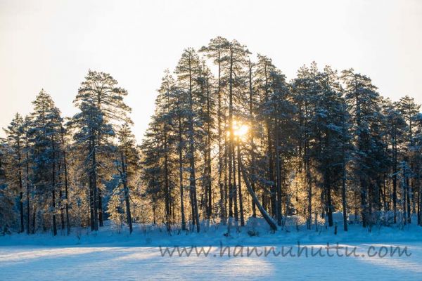 20180205_020.jpg
Hossanjärvi Hossan kansallispuisto talvimaisema aurinko 
Avainsanat: Hossanjärvi Hossan kansallispuisto talvimaisema aurinko