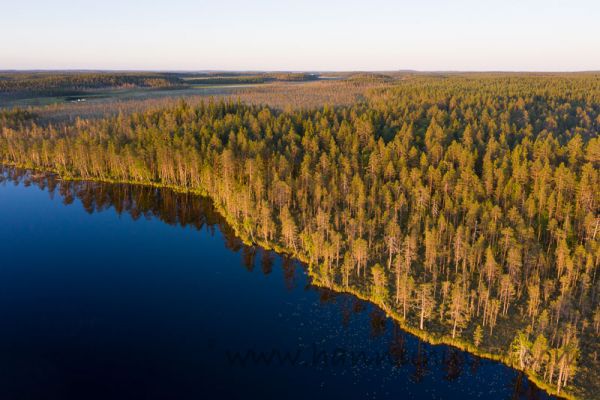 20200619_034
säynäjäjärvi kesä rantametsä maisema ilmakuva
Avainsanat: säynäjäjärvi kesä rantametsä maisema ilmakuva