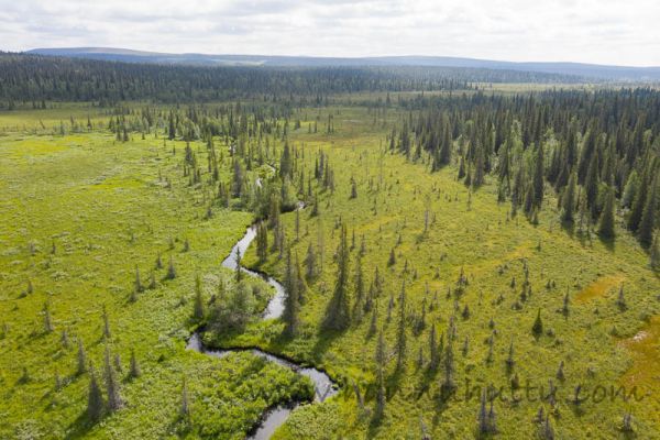 20200801_036
salla suomaisema metsämaisema puro kesä ilmakuva
Avainsanat: salla suomaisema metsämaisema puro kesä ilmakuva