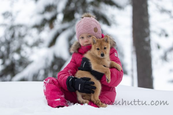 20210123017
suomenpystykorva suomenpystykorvan pentu koiranpentu lapsi talvi lumi
Avainsanat: suomenpystykorva suomenpystykorvan pentu koiranpentu lapsi talvi lumi