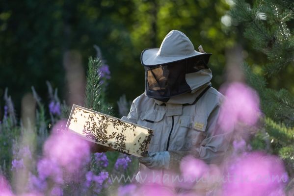 20210716055
mehiläishoito mehiläistenhoito hunaja luonnontuote mehiläitenhoitaja mehiläistarhaaja 
Avainsanat: mehiläishoito mehiläistenhoito hunaja luonnontuote mehiläitenhoitaja mehiläistarhaaja