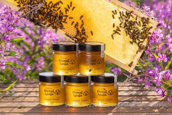 20210717006
mehiläishoito mehiläistenhoito hunaja luonnontuote
Avainsanat: mehiläishoito mehiläistenhoito hunaja luonnontuote