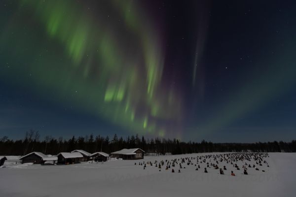 20220313032
aurora borealis revontulet tilataideteos hiljainen kansa heinäpäät talvi yö suomussalmi nähtävyys
Avainsanat: aurora borealis revontulet tilataideteos hiljainen kansa heinäpäät talvi yö suomussalmi nähtävyys