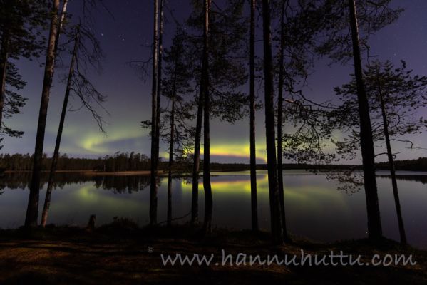 202210121695
revontulet aurora borealis hossan kansallispuisto syksy kuutamo järvimaisema yö 
Avainsanat: revontulet aurora borealis hossan kansallispuisto syksy kuutamo järvimaisema yö
