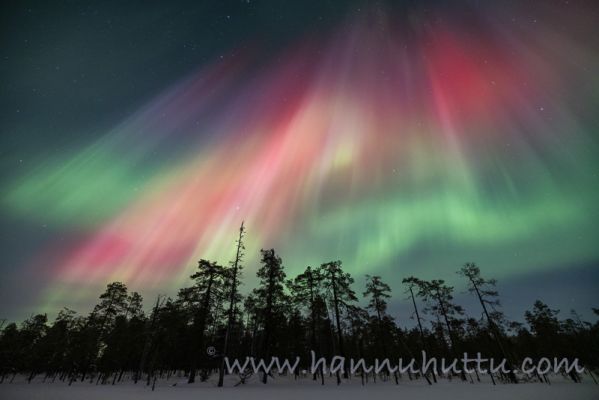 202302270140
revontulet aurora borealis talvimaisema northern lights
Avainsanat: revontulet aurora borealis talvimaisema northern lights