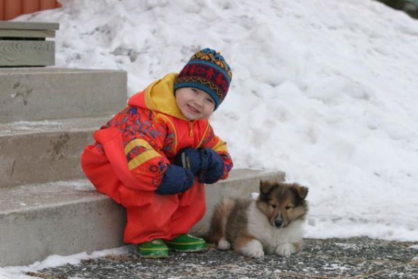 100_0091_RJ.jpg
lapsi tyttö collie pentu talvi skotlanninpaimenkoira koira lemmikki
Avainsanat: lapsi tyttö collie pentu talvi skotlanninpaimenkoira koira lemmikki