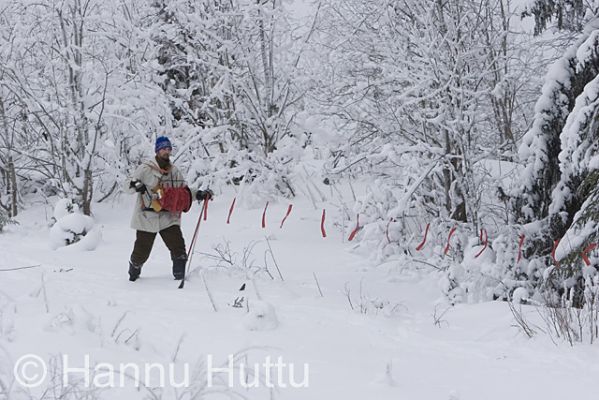 2007_02_17 054.jpg
talvi ketunmetsästys turkisriistan metsästys lippusiima 
Avainsanat: talvi ketunmetsästys turkisriistan metsästys lippusiima
