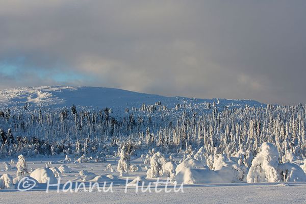 2013_01_23_087.jpg
talvimaisema tunturimaisema Sorsele Ruotsi
Avainsanat: talvimaisema tunturimaisema Sorsele Ruotsi