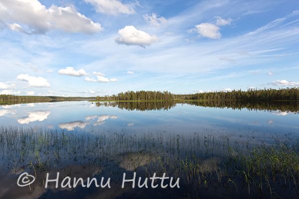2015_07_31_027b.jpg
Aittojärvi Hossa järvimaisema kesä
Avainsanat: Aittojärvi Hossa järvimaisema kesä