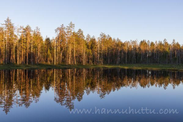 20210628028
hossan kansallispuisto hossa kesä metsälampi
Avainsanat: hossan kansallispuisto hossa kesä metsälampi
