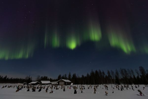 20220313003
aurora borealis revontulet talvi yö taivas tilataideteos hiljainen kansa suomussalmi nähtävyys 
Avainsanat: aurora borealis revontulet talvi yö taivas tilataideteos hiljainen kansa suomussalmi nähtävyys