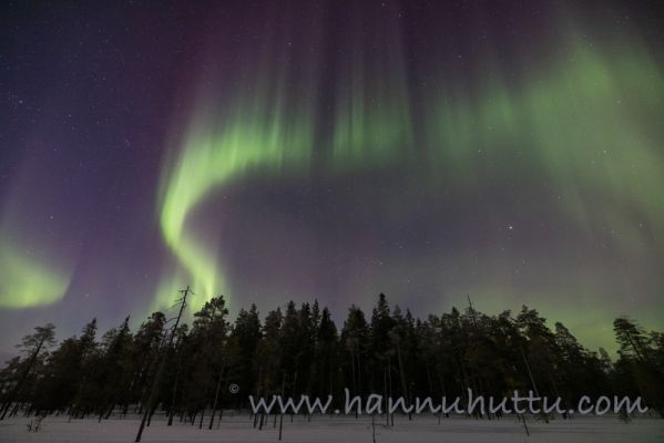 202302270275
revontulet aurora borealis talvimaisema 
Avainsanat: revontulet aurora borealis talvimaisema