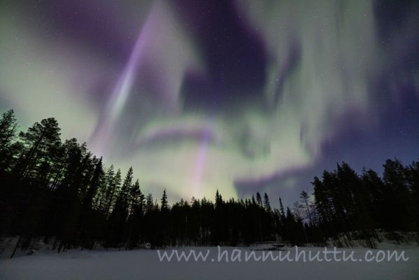 202302281147
revontulet aurora borealis talvimaisema somer hossan kansallispuisto hossa
Avainsanat: revontulet aurora borealis talvimaisema somer hossan kansallispuisto hossa