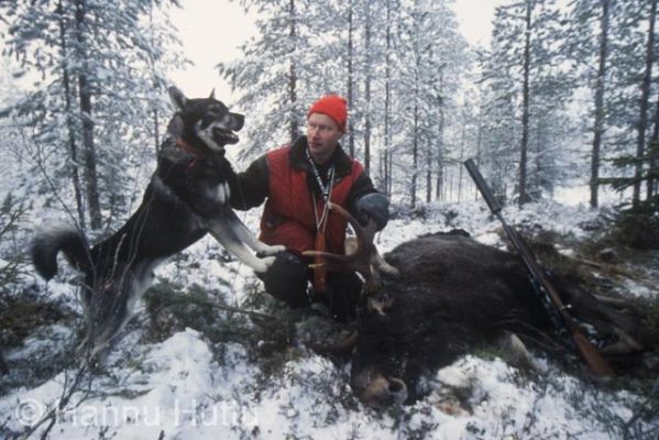 dia0188.jpg
hirvenmetsästys syksy metsästäjä hirvi riista kaato jämtlanninpystykorva lumi koira metsästyskoira
Avainsanat: hirvenmetsästys syksy metsästäjä hirvi riista kaato jämtlanninpystykorva lumi koira metsästyskoira